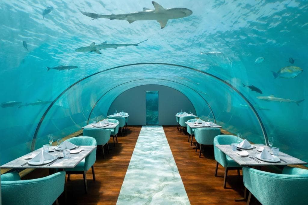 Conrad Maldives Rangali Island - 29