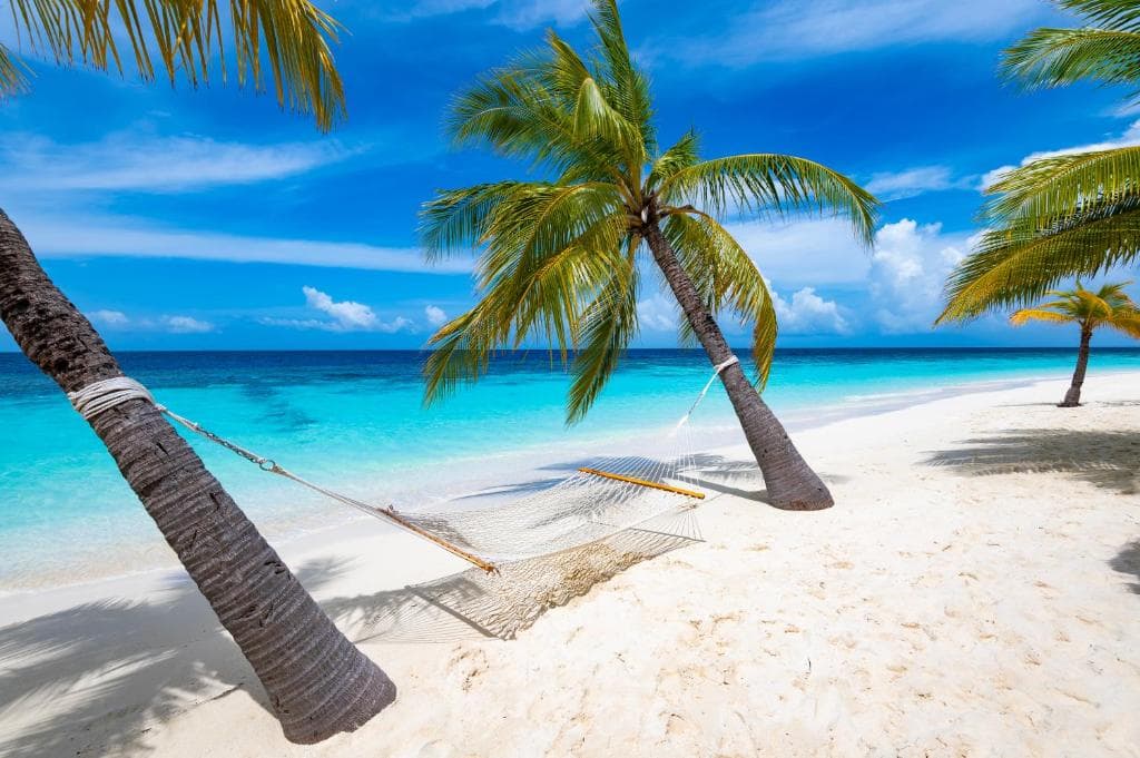 Sejur Maldive - Diamonds Athuruga Beach & Water Villas - 32