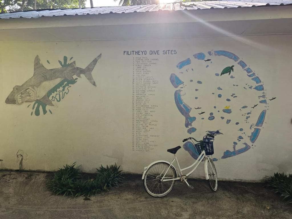 Sejur Maldive - Filitheyo Island Resort - 6