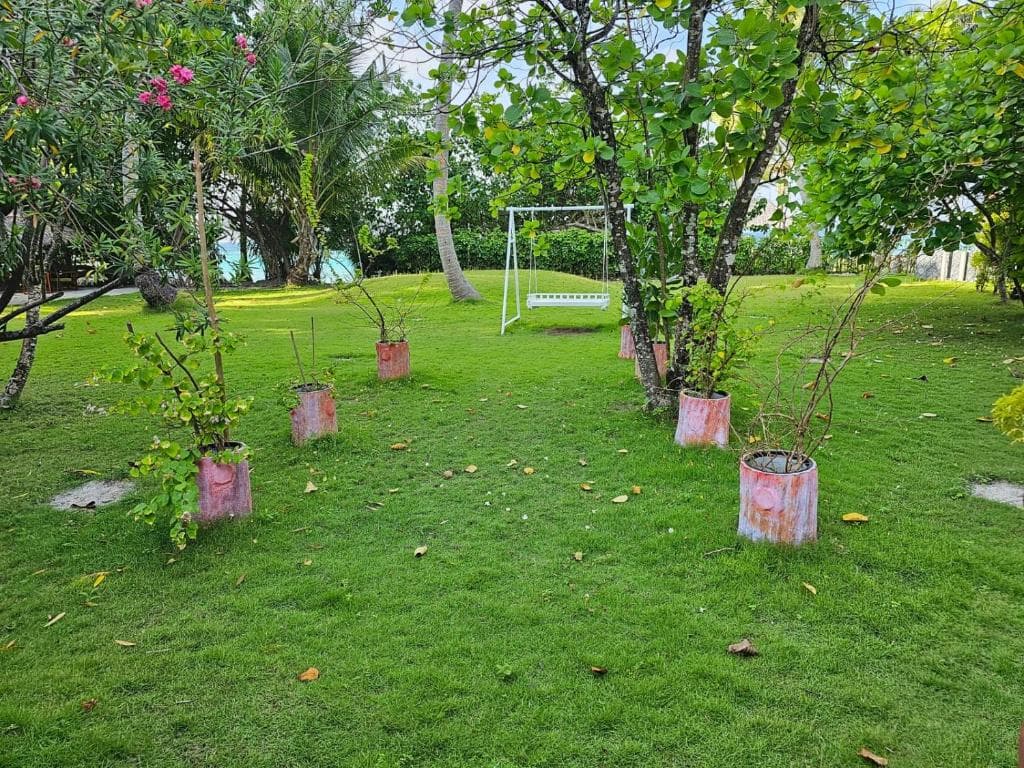 Sejur Maldive - Filitheyo Island Resort - 12