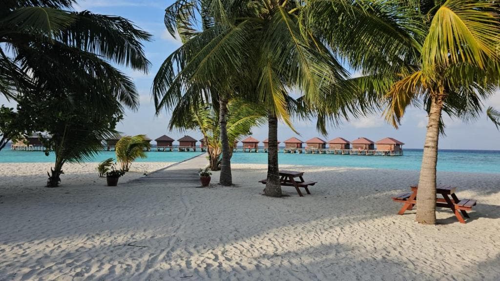 Sejur Maldive - Filitheyo Island Resort - 13