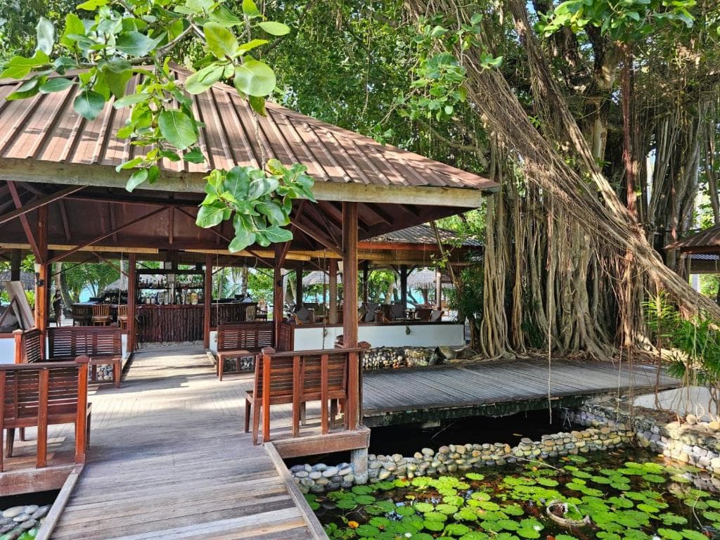 Sejur Maldive - Filitheyo Island Resort - 14