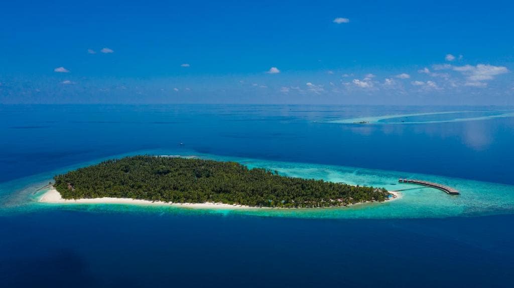 Sejur Maldive - Filitheyo Island Resort - 15