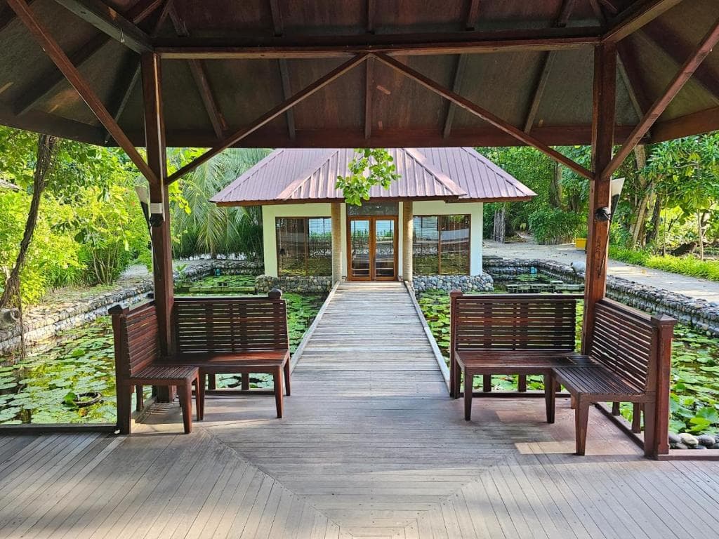 Sejur Maldive - Filitheyo Island Resort - 20