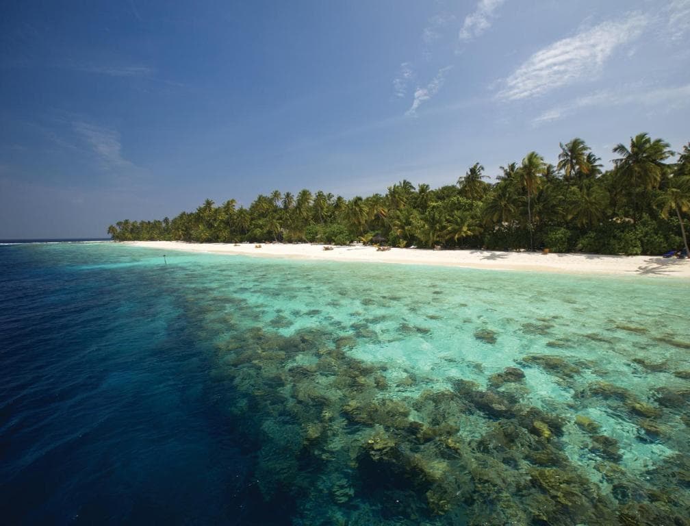 Sejur Maldive - Filitheyo Island Resort - 34