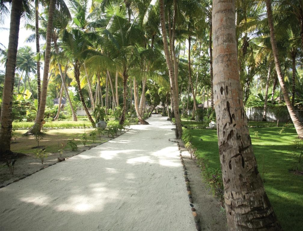 Sejur Maldive - Filitheyo Island Resort - 36