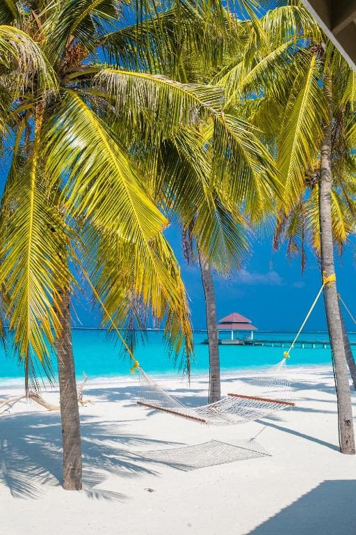 Hondaafushi Island Resort - 6