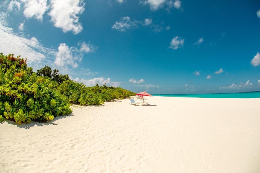 Hondaafushi Island Resort - 18