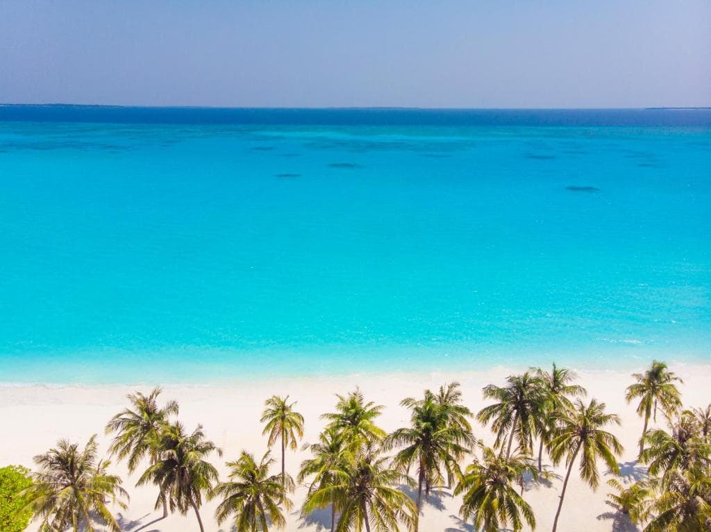Hondaafushi Island Resort - 32