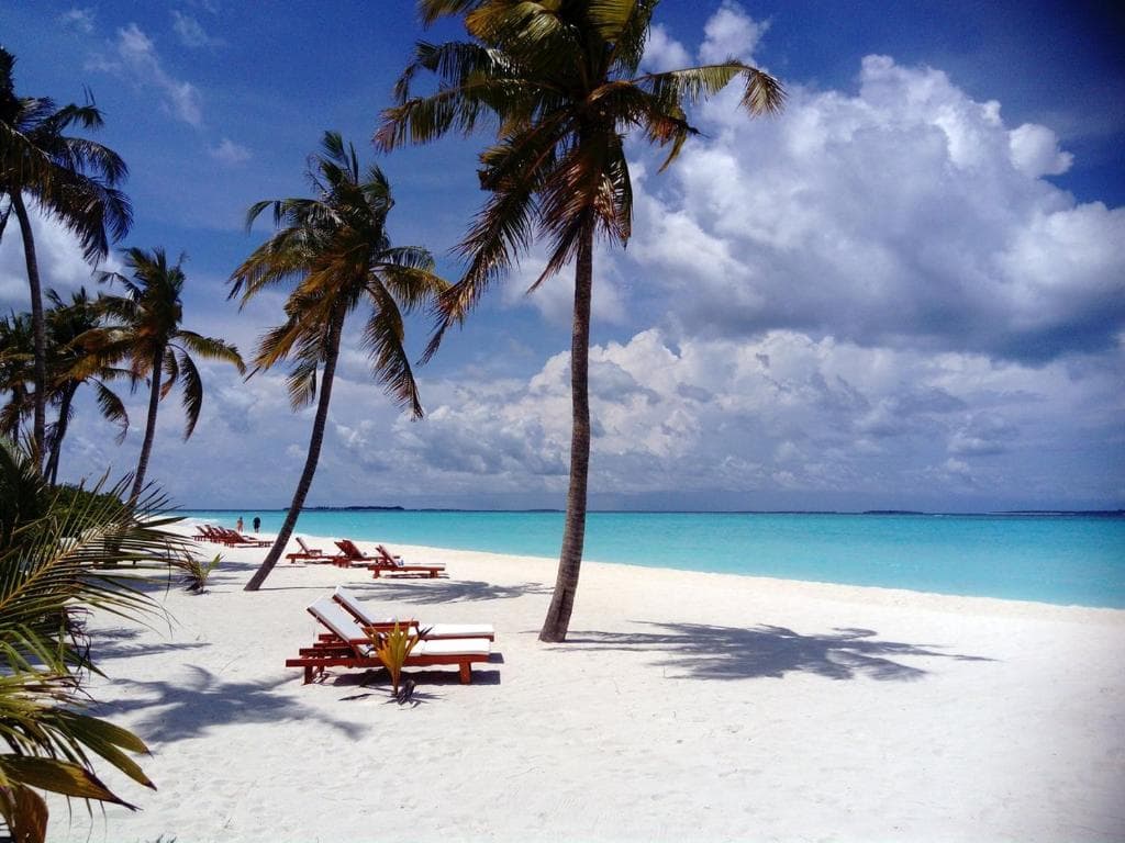 Hondaafushi Island Resort - 36
