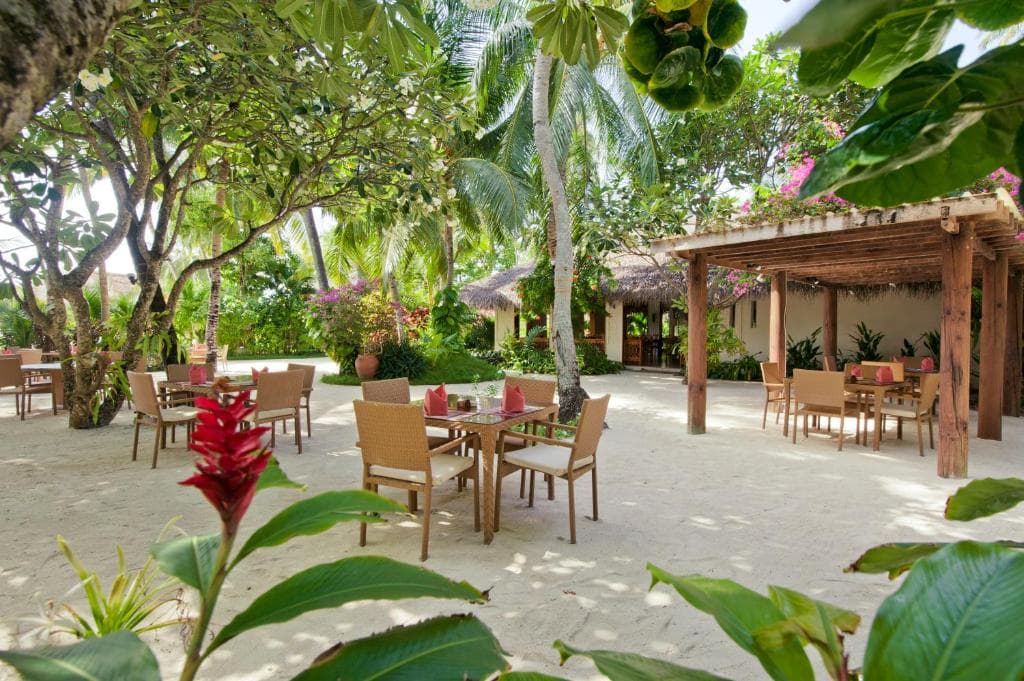 Sejur Maldive - Kuramathi Maldives Resort - 41