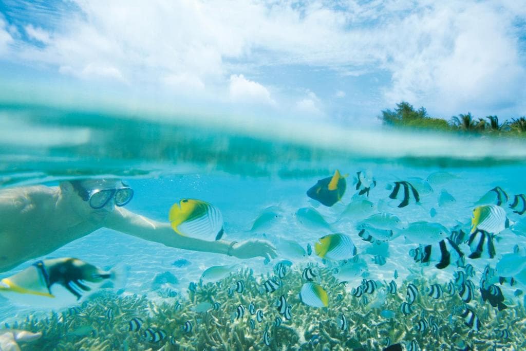 LUX South Ari Atoll Resort & Villas - 31