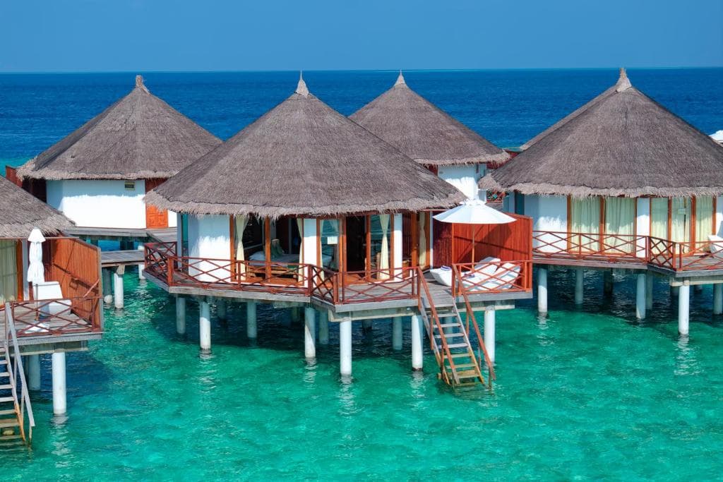 Safari Island Resort - 11