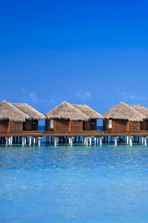 Sheraton Maldives Full Moon Resort & Spa - 43