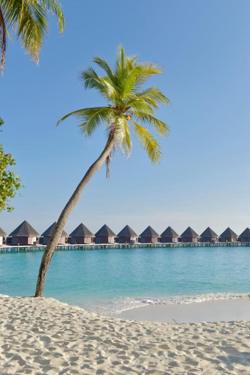 Sejur Maldive - Thulhagiri Island Resort - 29
