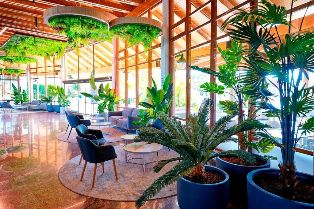 Hotel Sport Monte Feliz - powered by Playitas - 31