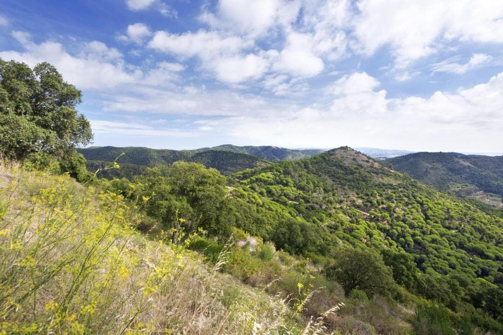 Sejur Costa Brava - Hotel Merce - 31