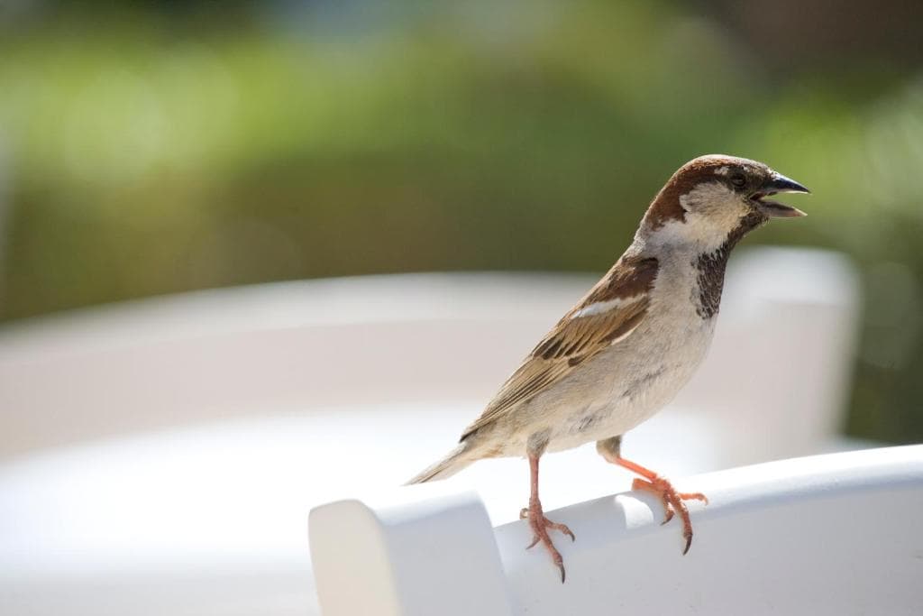 Hotel Sandy Beach & Spa - 40