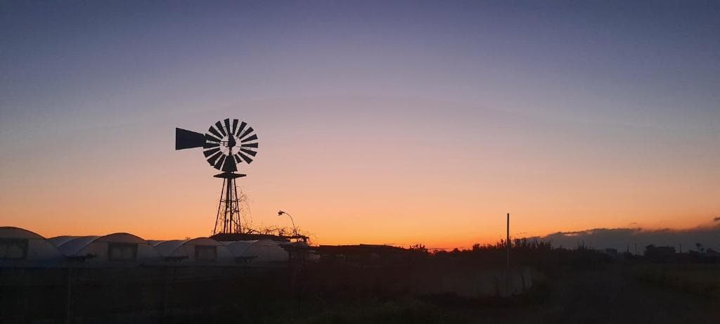 Hotel Tsokkos Gardens - 27