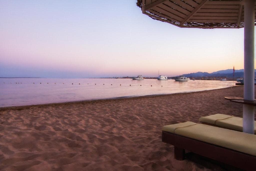 Hotel Eagles Paradise Abu Soma Resort (Ex Balina Paradise Abu Soma Resort) - 18