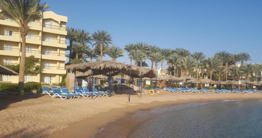 Regina Resort & Aquapark (ex: ZYA Regina Resort and Aqua Park) - 20