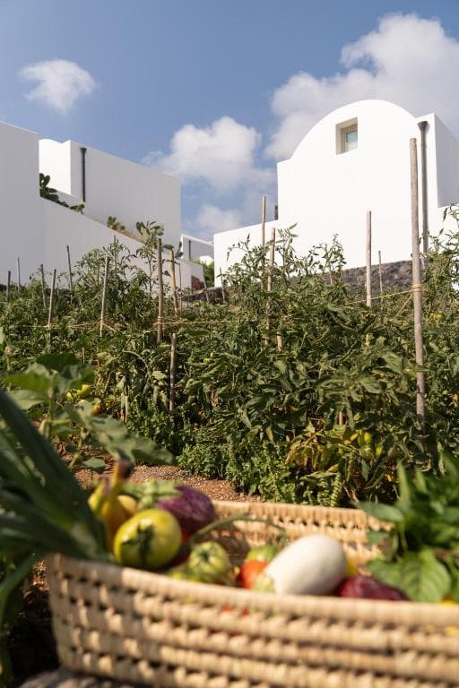 Santo Pure Oia Suites & Villas - 35