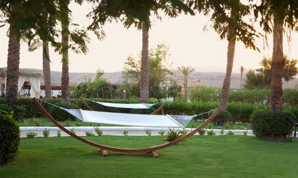 Iberotel Palace Resort (Adults Only 16+) - 30