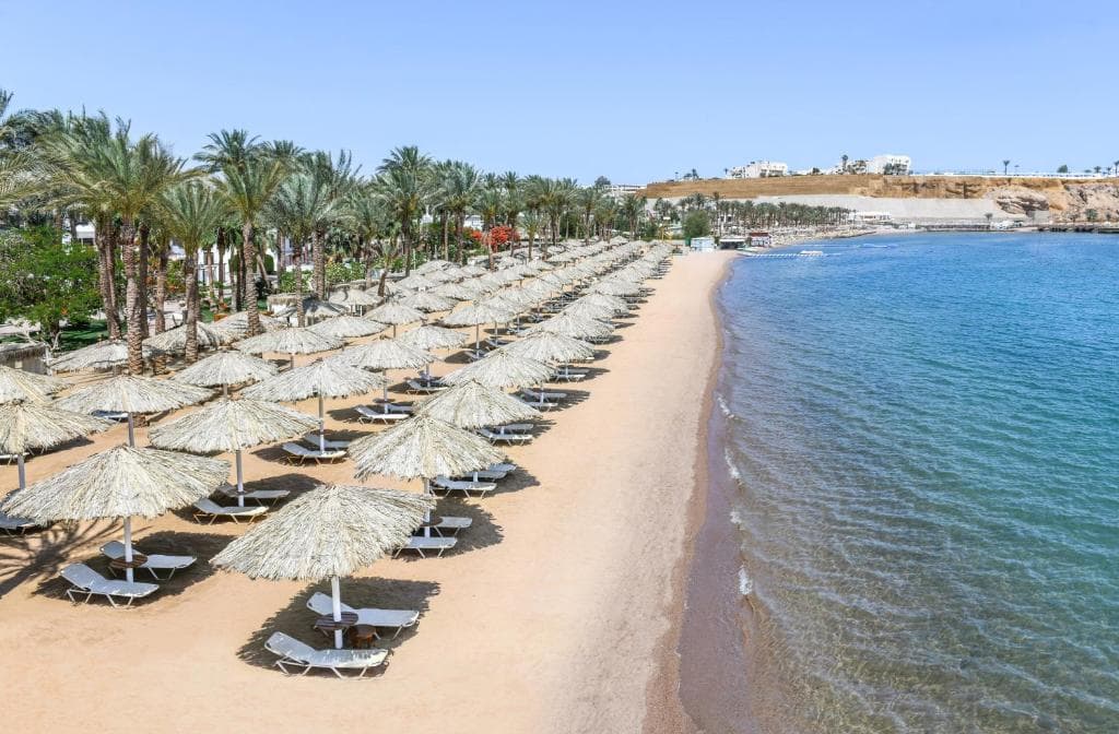Iberotel Palace Resort (Adults Only 16+) - 40