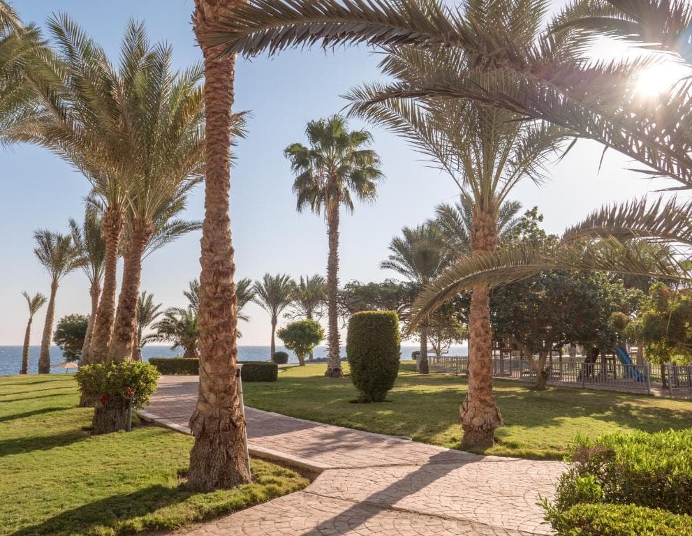 Serenity Alpha Beach Resort (ex Serenity Makadi Beach) - 27