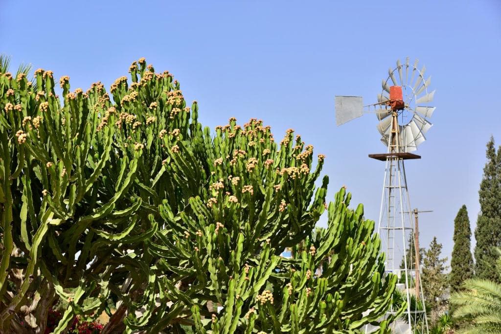 Napa Prince Hotel Apts - 62