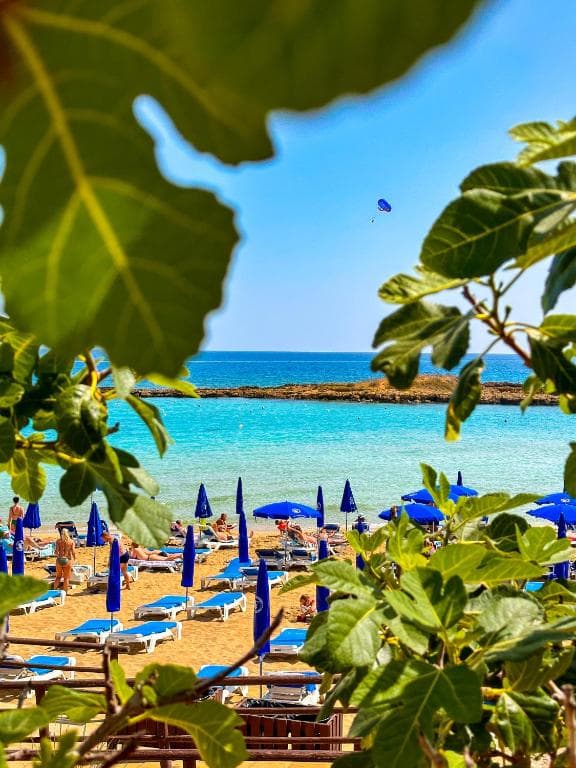 Hotel Silver Sands Beach - 24