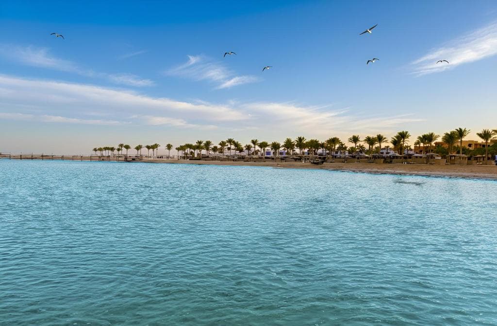 Casa Mare Resort (ex. Royal Tulip Beach Resort Marsa Alam) - 2