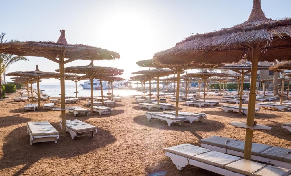 Seagull Beach Resort - Families and Couples Only - 16