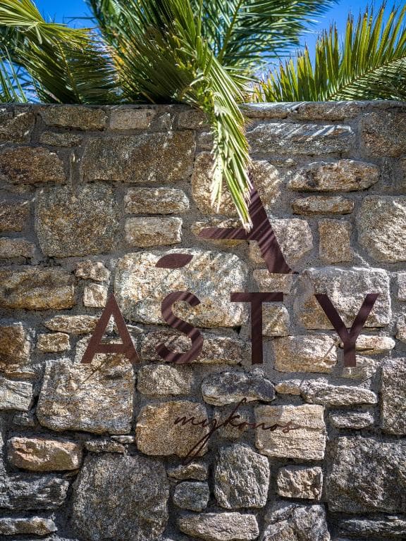 Asty Mykonos Hotel & Spa - 3
