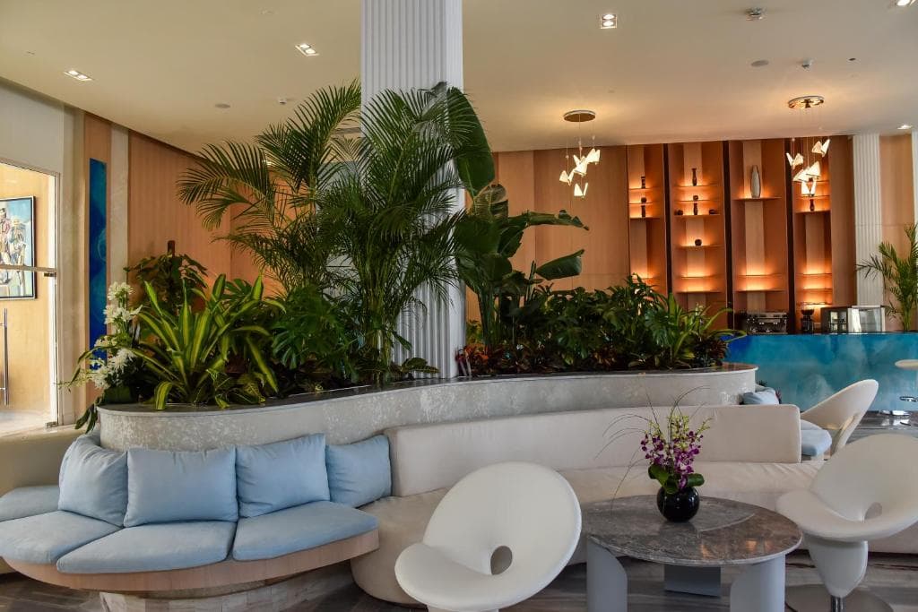 Cleopatra Luxury Resort Sharm Adults Only - 30