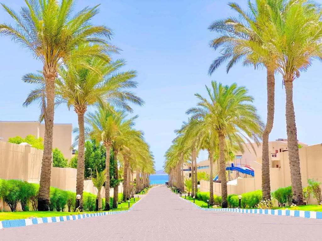 Ivy Cyrene Island Aqua Park Resort (ex Cyrene Island Hotel) - 39