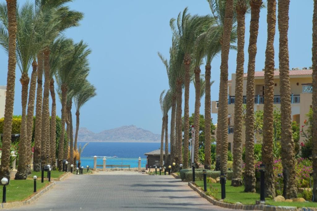 Hotel IVY Cyrene Sharm - Adults Only - 21