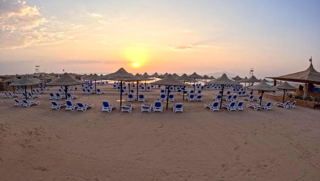 Hotel IVY Cyrene Sharm - Adults Only - 30