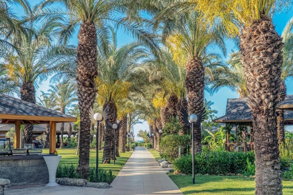 Hotel Royal Wings - 3