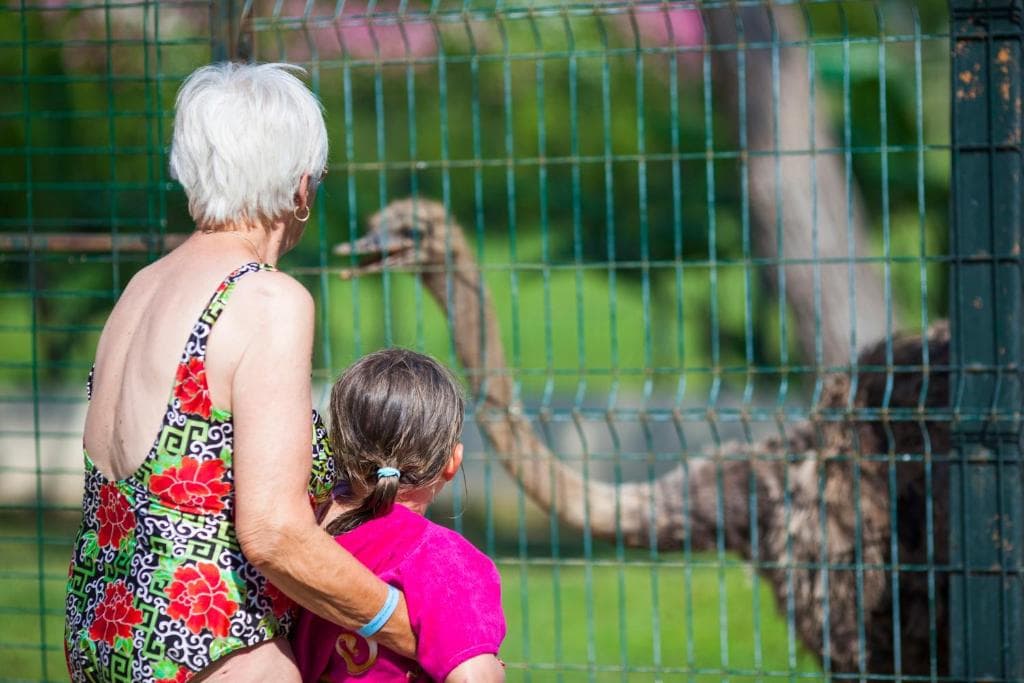 CLUB TURAN PRINCE WORLD - 12