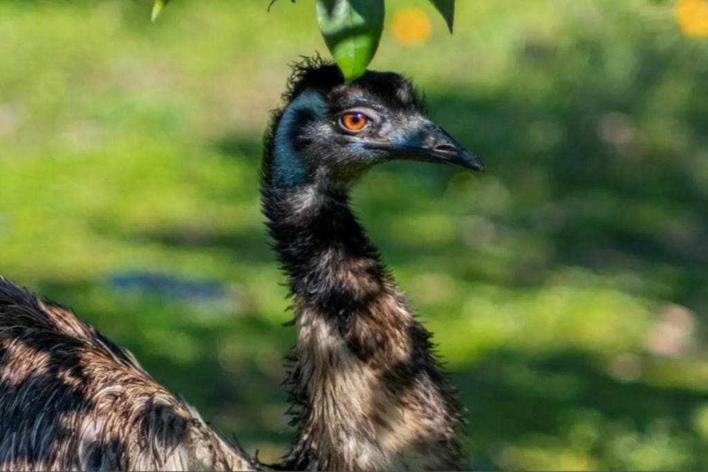 Hotel Batihan Vadi - 23