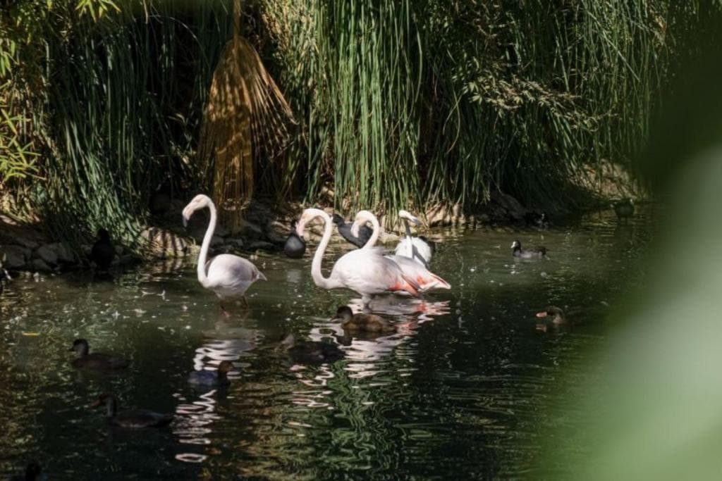 Hotel Batihan Vadi - 40