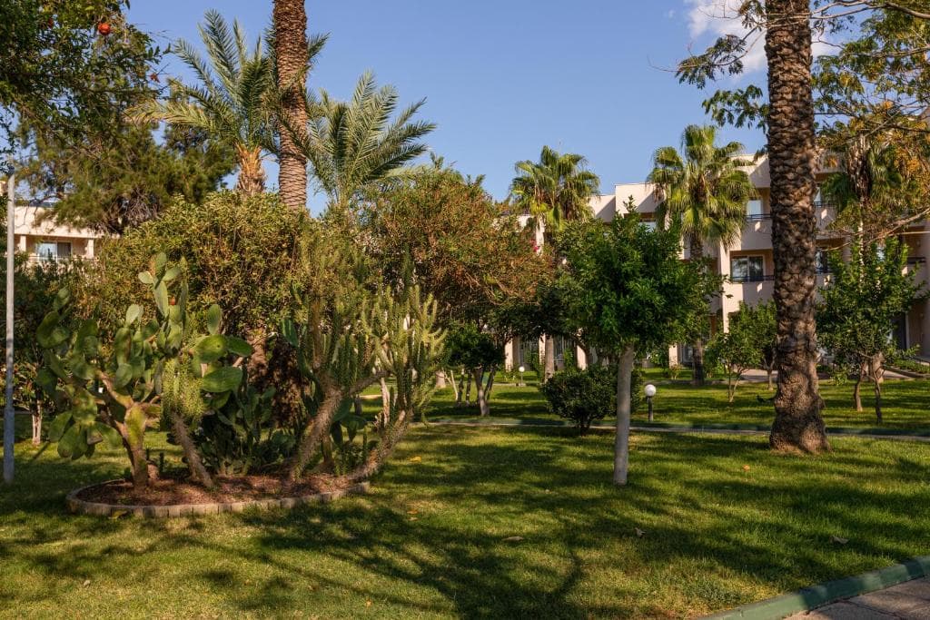 Labranda Alantur - 40