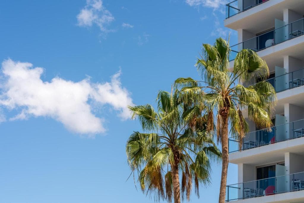 Marina Suites Gran Canaria - 30