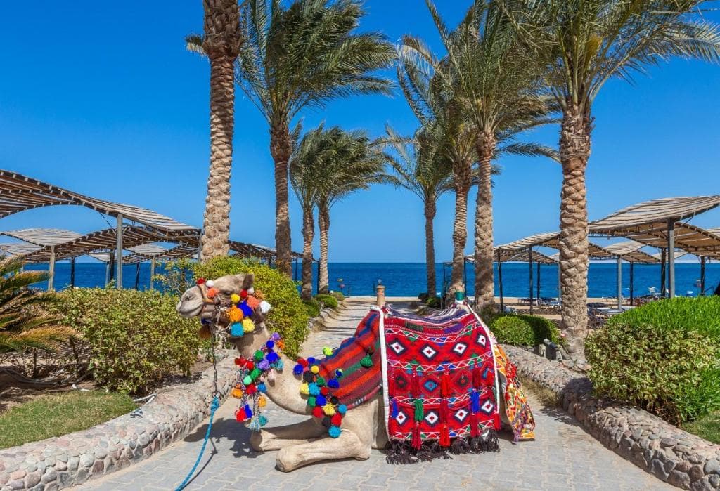 Sphinx Aqua Park Beach Resort - 27