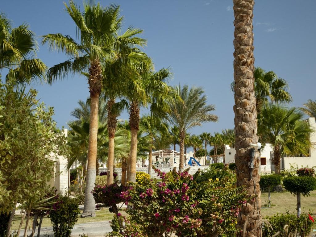 Hotel Coral Beach Hurghada - 15