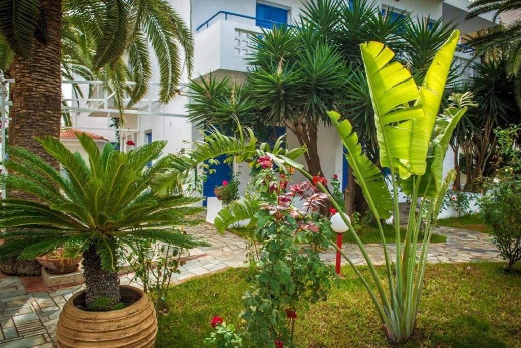 Heraklion - Galini Apartments & Studios - 17