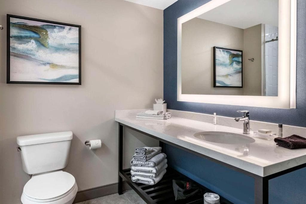 Hotel Cambria Orlando Airport - 21