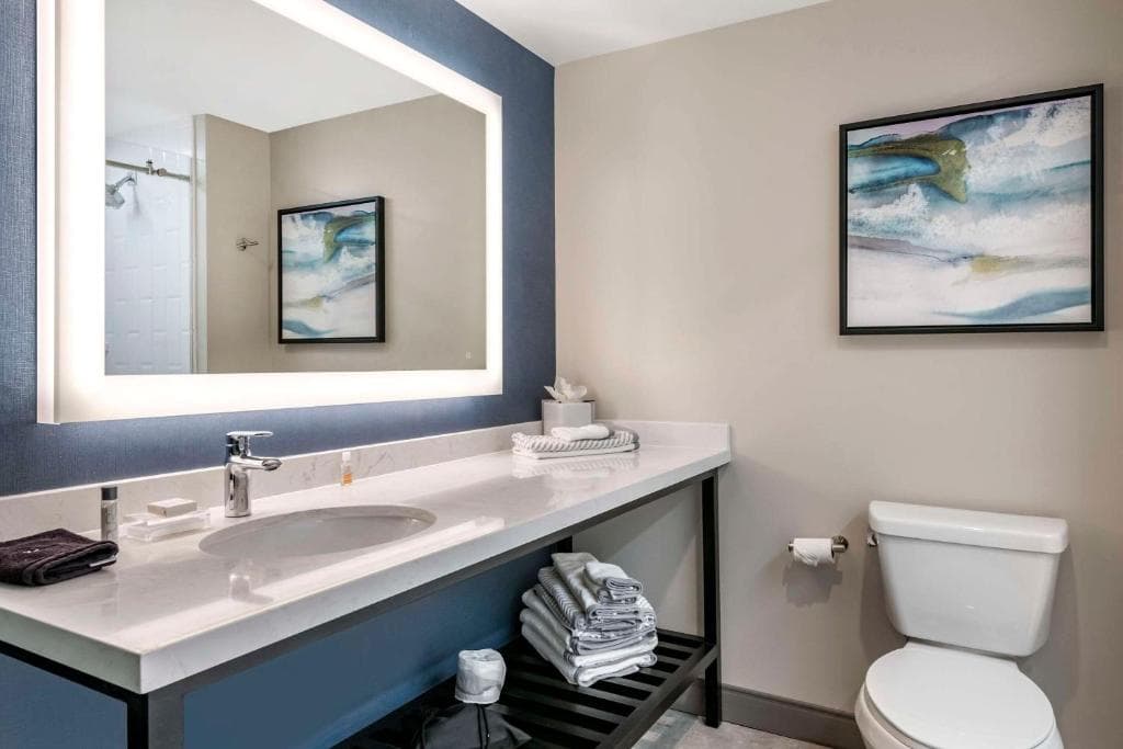 Hotel Cambria Orlando Airport - 32