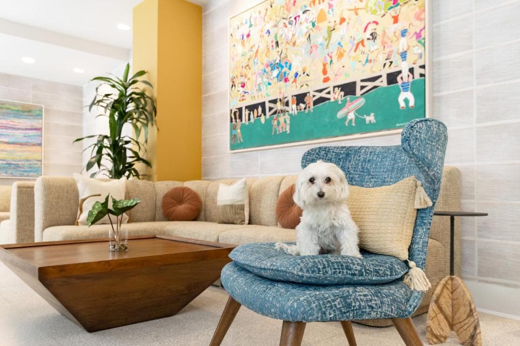 Hotel Continental Miami Beach, Tapestry Collection by Hilton - 33